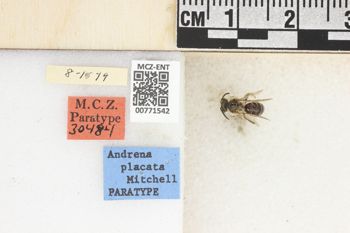 Media type: image;   Entomology 771542 Aspect: Labels